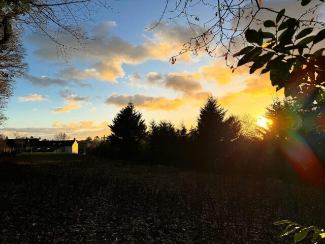 On the drawing board this week detailed design for a contemporary new house on the edge of #ledbury in #herefordshire 
.
#architectshereford #contemporaryhomes #newhouse #developer #herefordarchitects #ArchitecturalDetailing #UKCountrysideHomes #BespokeRuralArchitecture #ModernCountryHouse #CountrysideArchitecture #architecturalphotograph